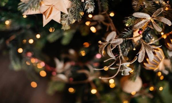 Le jardin est une bonne source de trouvailles pour décorer son sapin de Noël# Le jardin est une bonne source de trouvailles pour décorer son sapin de Noël - © Alena Vilgelm - stock.adobe.com
