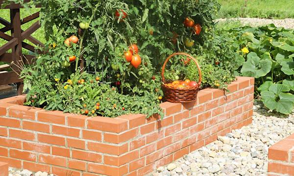 Un potager partagé - © vaivirga - stock.adobe.com
