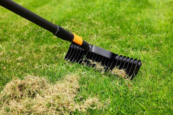Un scarificateur manuel, pour les petites surfaces