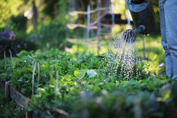 Arroser son jardin : Tout un art !