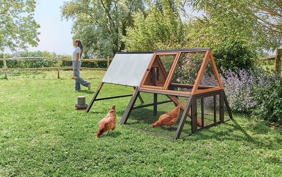 Un poulailler innovant