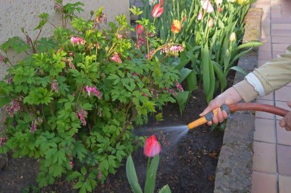 # Il existe divers types d'arrosage pour le jardin - © compagnie-17 - stock.adobe.com