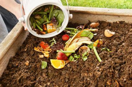 Compostage : les différentes techniques