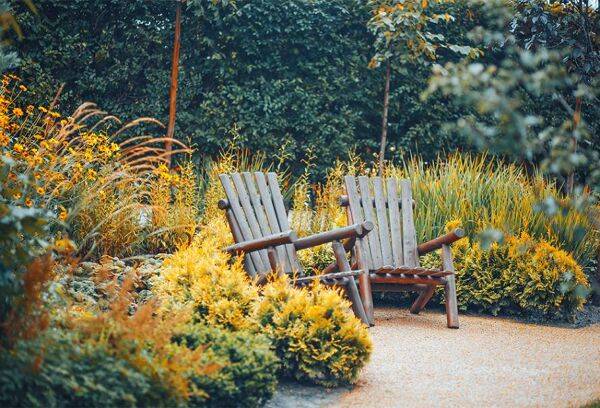 Les 8 plus beaux arbustes d'automne
