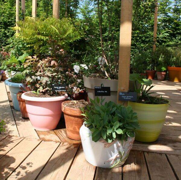 Jardin de pots