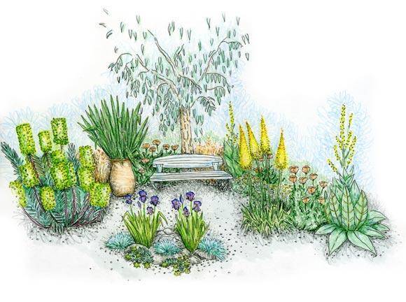 Esquisse du jardin épuré
