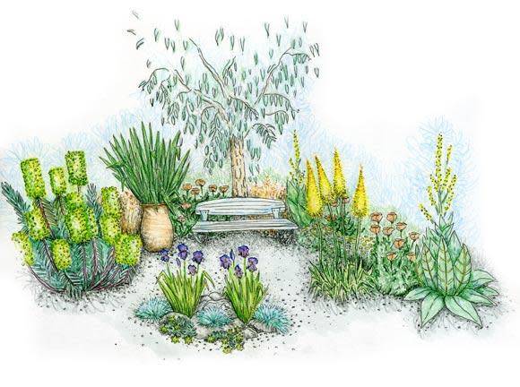 Esquisse du jardin épuré