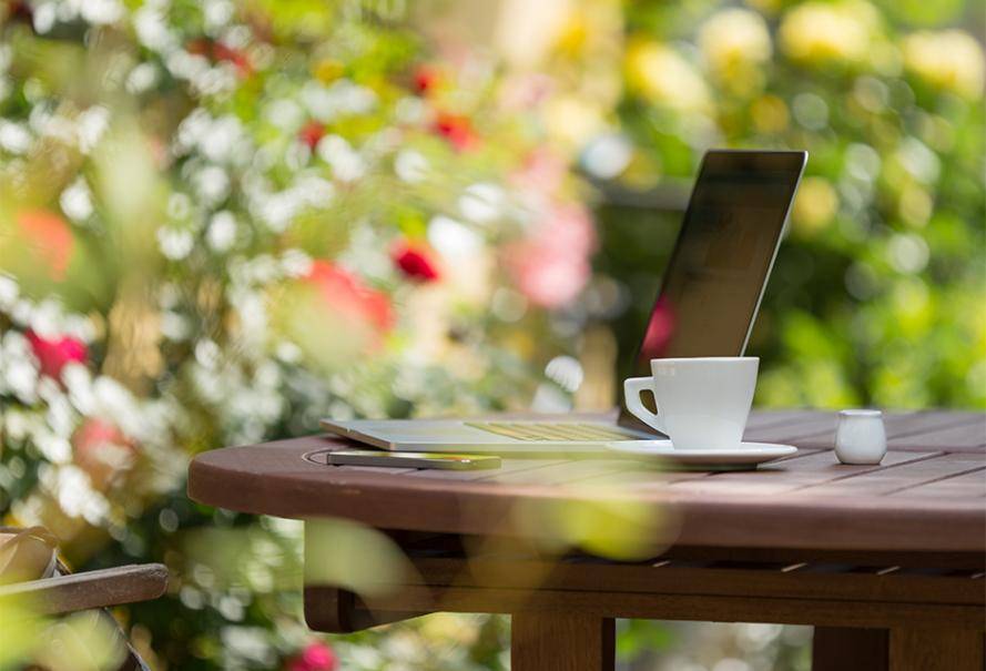 Pourquoi acheter ses plantes sur une jardinerie en ligne ? - Gamm vert