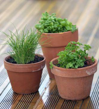 Conditionnez vos aromatiques