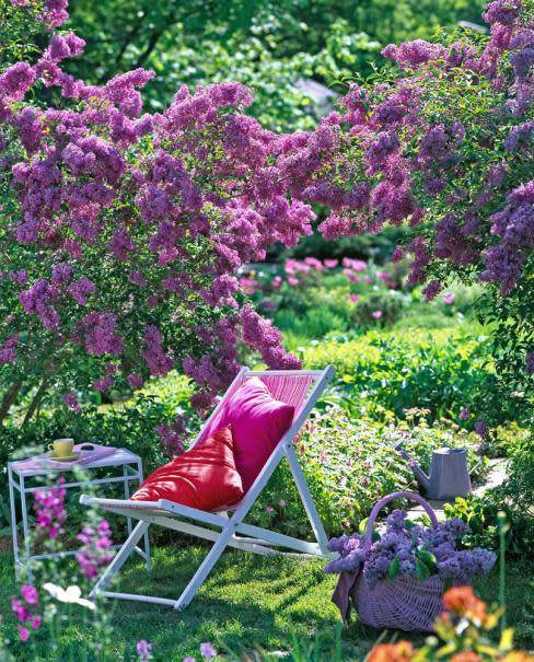 lilas