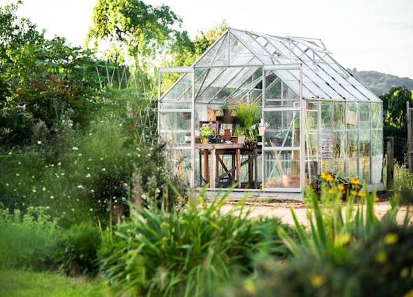 Fenêtres de serre de jardin - © Rawpixel.com - stock.adobe.com
