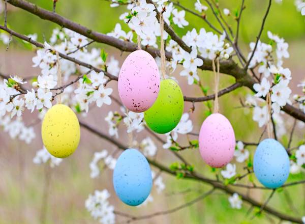 Arbre de Pâques - © agneskantaruk - stock.adobe.com
