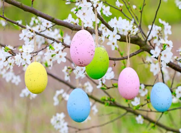 Arbre de Pâques - © agneskantaruk - stock.adobe.com
