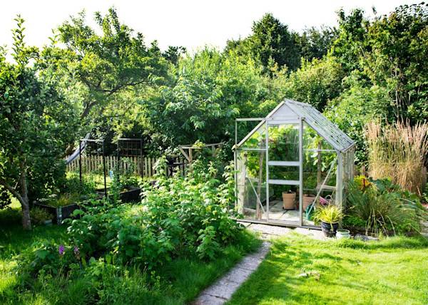 # Bien aménager une serre de jardin est encore plus important quand elle est petite - © Jon - stock.adobe.com