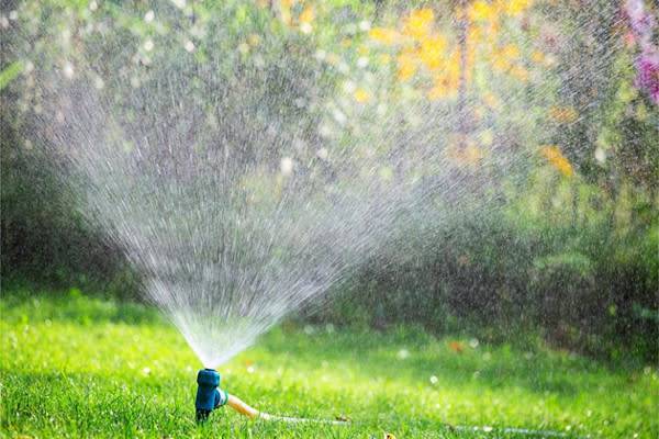 Choisir son système d’arrosage de vacances pour le jardin