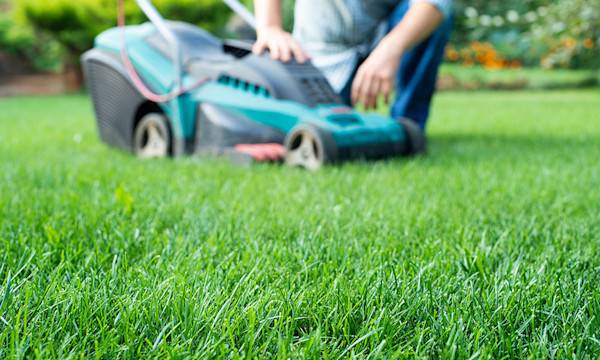 10 astuces pour garder une belle pelouse