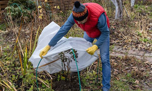 Préparer son jardin pour l'hiver