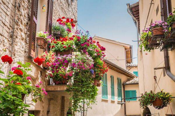 Quelles fleurs retombantes pour une jardinière en plein soleil ?