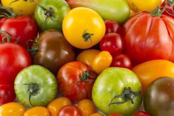 Tomate Coeur de boeuf