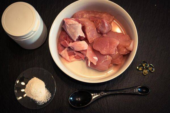 Recettes maison pour mon chien