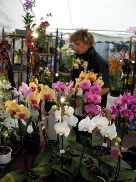 Exposition sur les orchidées