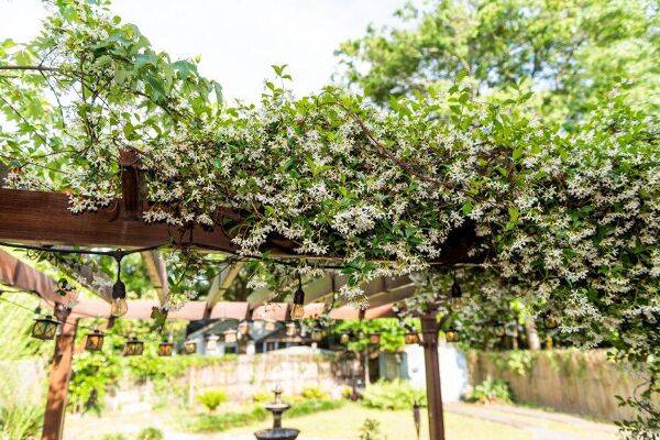 Comment bien monter sa tonnelle de jardin ?