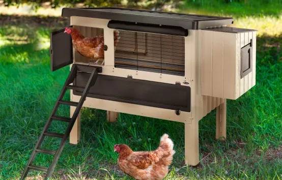 Poulailler Happy Farm 120 – FERPLAST