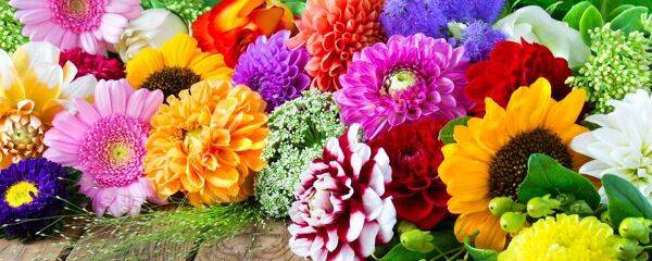 bulbes d'été pour bouquet
