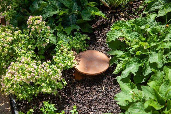 Peut-on fabriquer des oyas pour son jardin ?