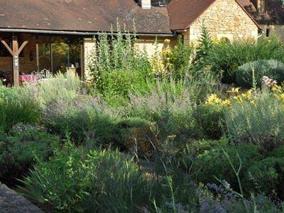 Un jardin d'aromatiques en Périgord