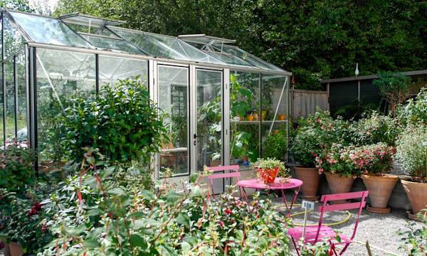 Que planter sous serre en juillet ? # Que planter sous serre en juillet ? - © niklas storm - stock.adobe.com
