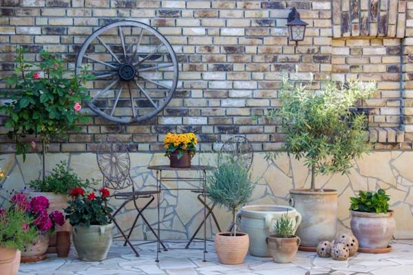 Comment cultiver des plantes méditerranéennes en pot ?