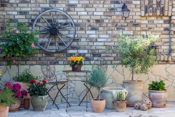 Comment cultiver des plantes méditerranéennes en pot ?