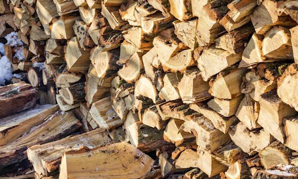 Quelle conservation pour le bois de chauffage ? - © 201122- stock.adobe.com