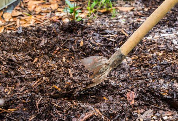 Compostage de surface