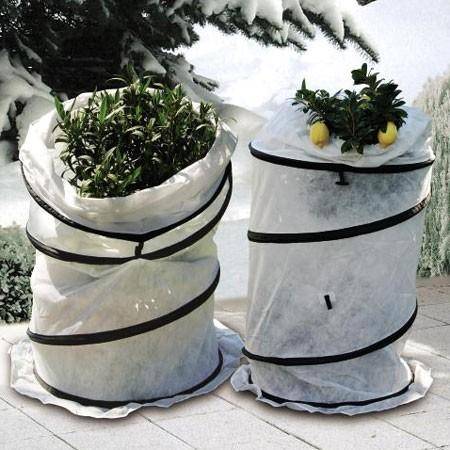 Protections hivernales
