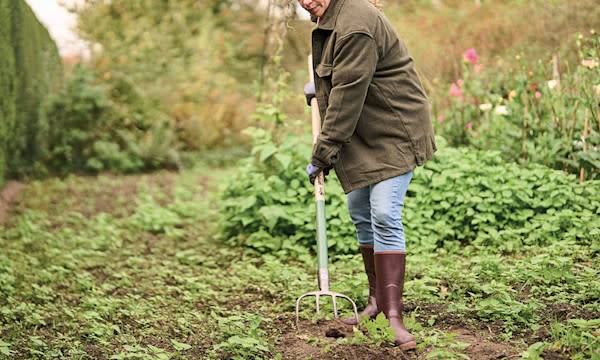 Préparez votre potager pour le printemps