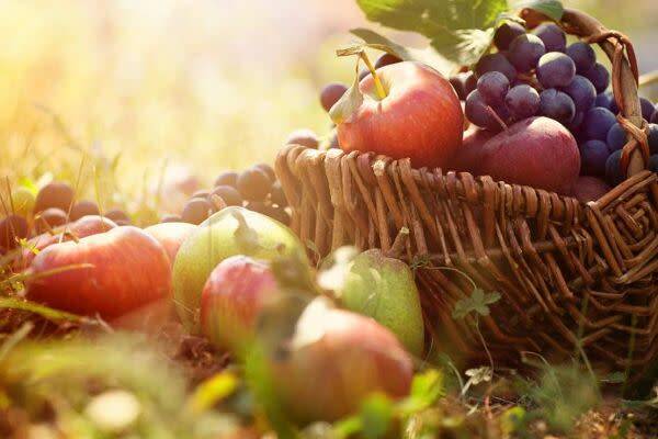 Récoltes de septembre, côté jardin gourmand