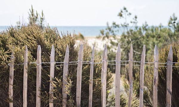 Comment faire un jardin en bord de mer sur le littoral atlantique ? - © Claude - stock.adobe.com