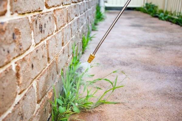 # Comment appliquer les désherbants dans son jardin ? © Daria Nipot - stock.adobe.com