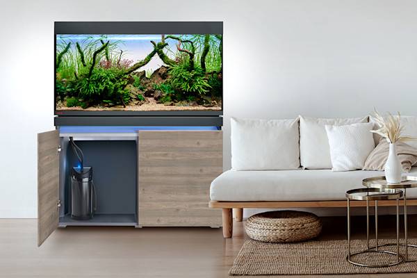 Un meuble d'aquarium permet d'y installer et d'y ranger tout l'équipement nécessaire