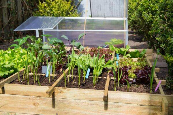 Comment fabriquer une serre pour votre carré potager ?