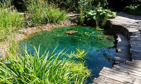 Installer et construire un bassin
