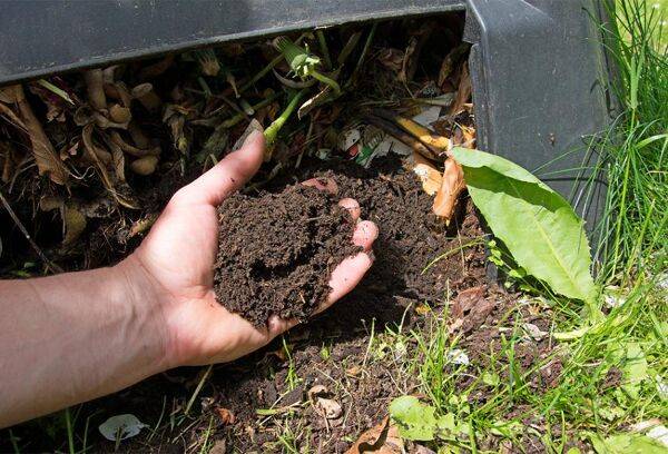 Pour un compost réussi