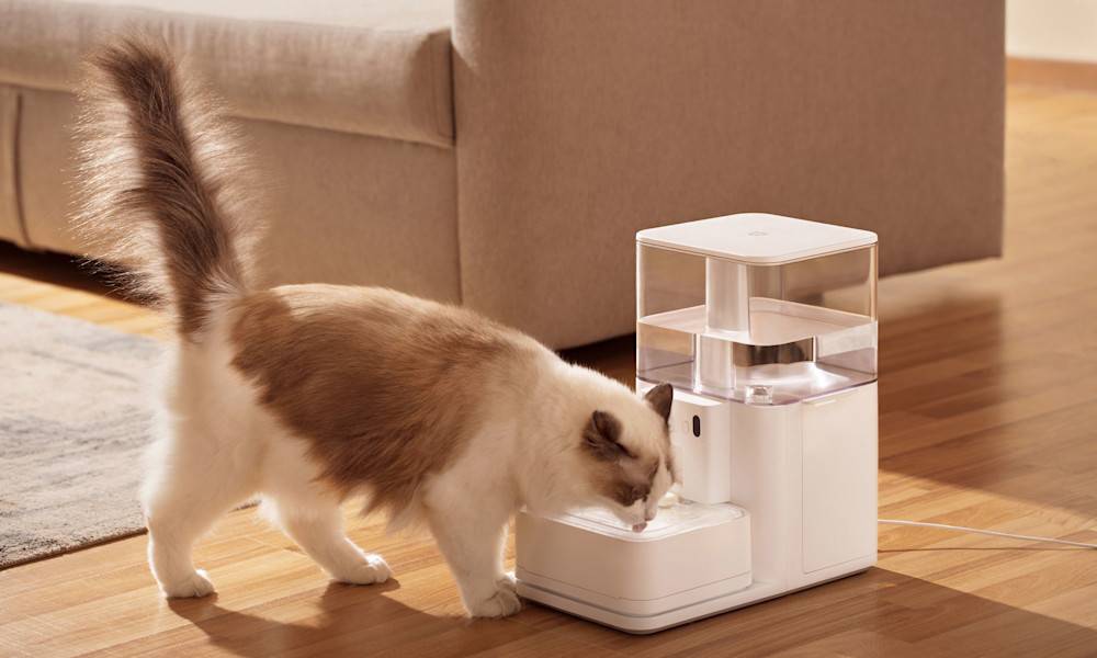 Transparente, noir, design, ... chez Gamm Vert nous avons différents styles de fontaine à eau pour votre chat, l'une d'entre elle devrait s'intégrer à votre décoration intérieure !
