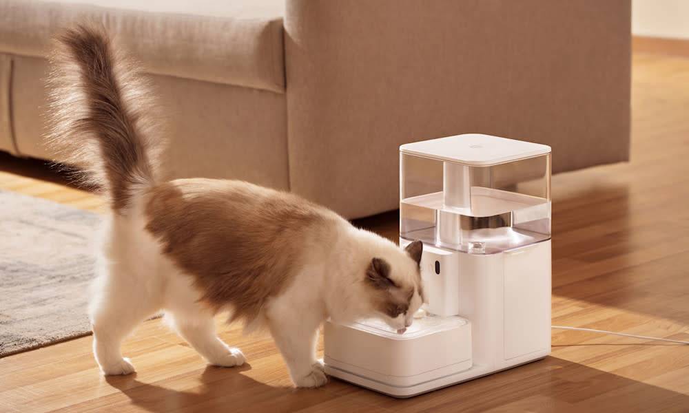 Transparente, noir, design, ... chez Gamm Vert nous avons différents styles de fontaine à eau pour votre chat, l'une d'entre elle devrait s'intégrer à votre décoration intérieure !