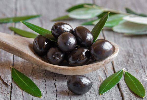 La préparation des olives noires après cueillette