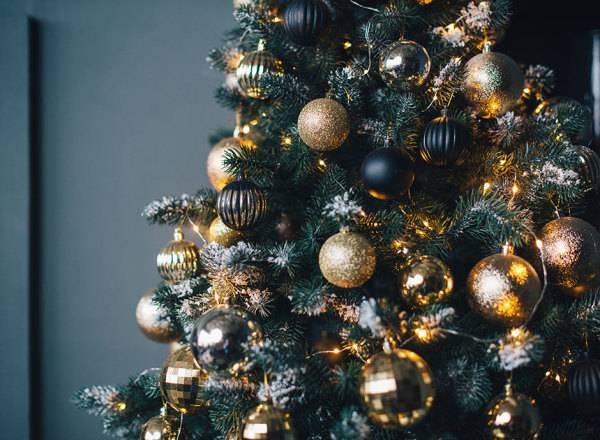 # Quelle couleur pour son sapin de Noël ? - © MZaitsev stock.adobe.com