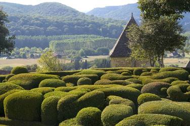 Les jardins de Marqueyssac présentent de nombreux arbustes en topiaire