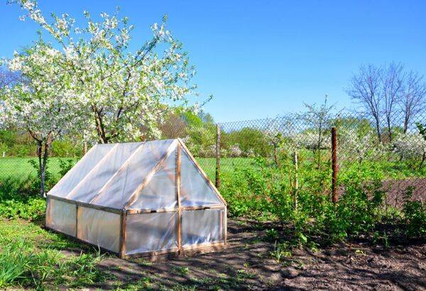 Comment fabriquer une serre de jardin pour pas cher ?